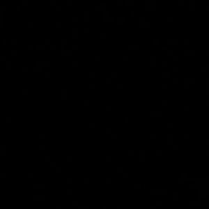 Meet your Posher, Ann franco